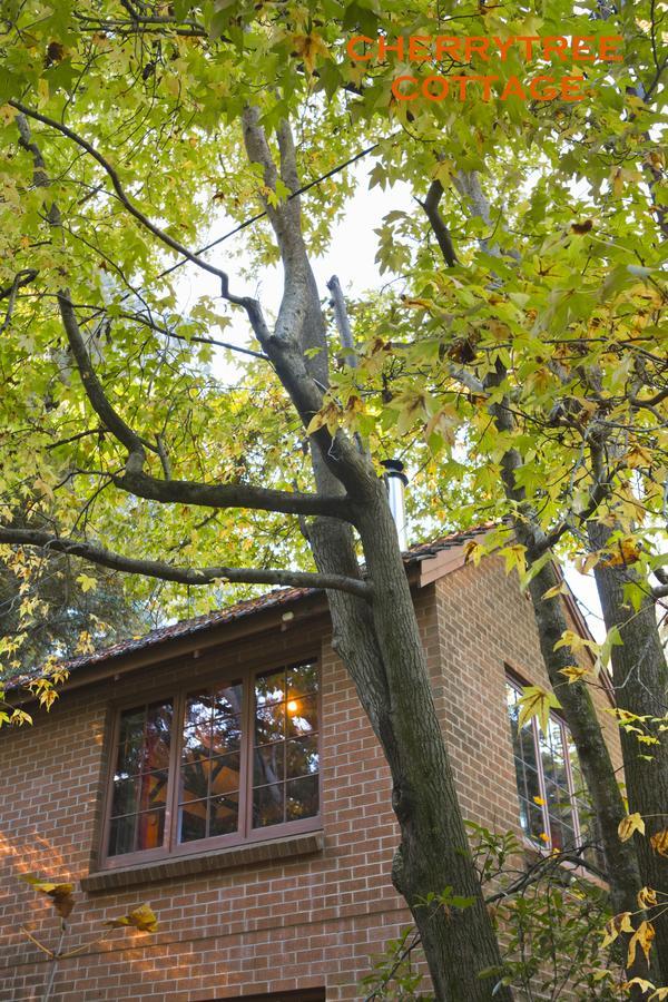 애들레이드 크래퍼스 코티지 B&B 객실 사진