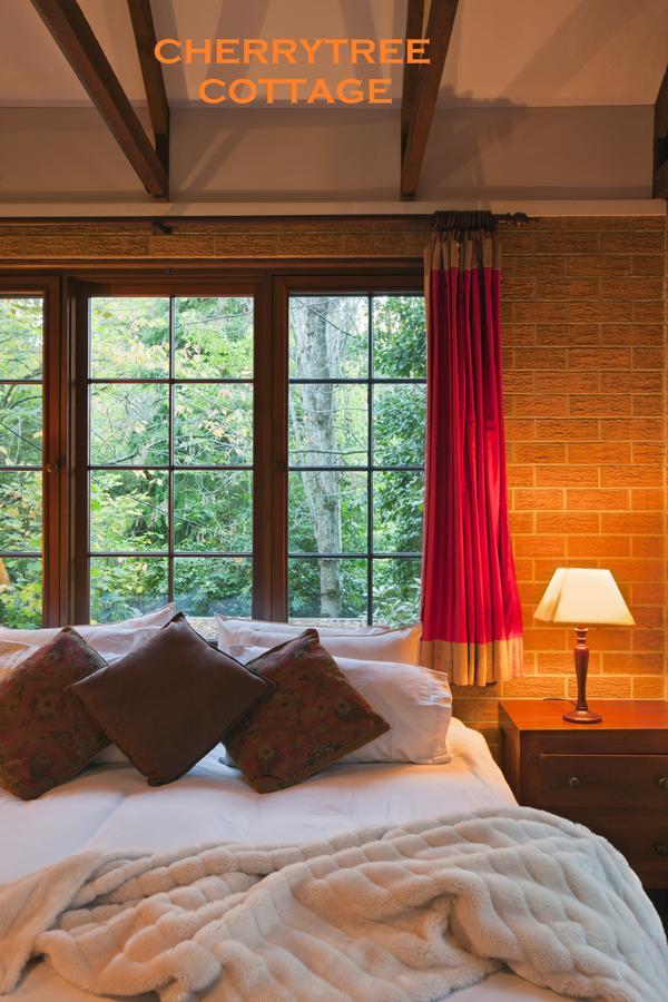 애들레이드 크래퍼스 코티지 B&B 객실 사진