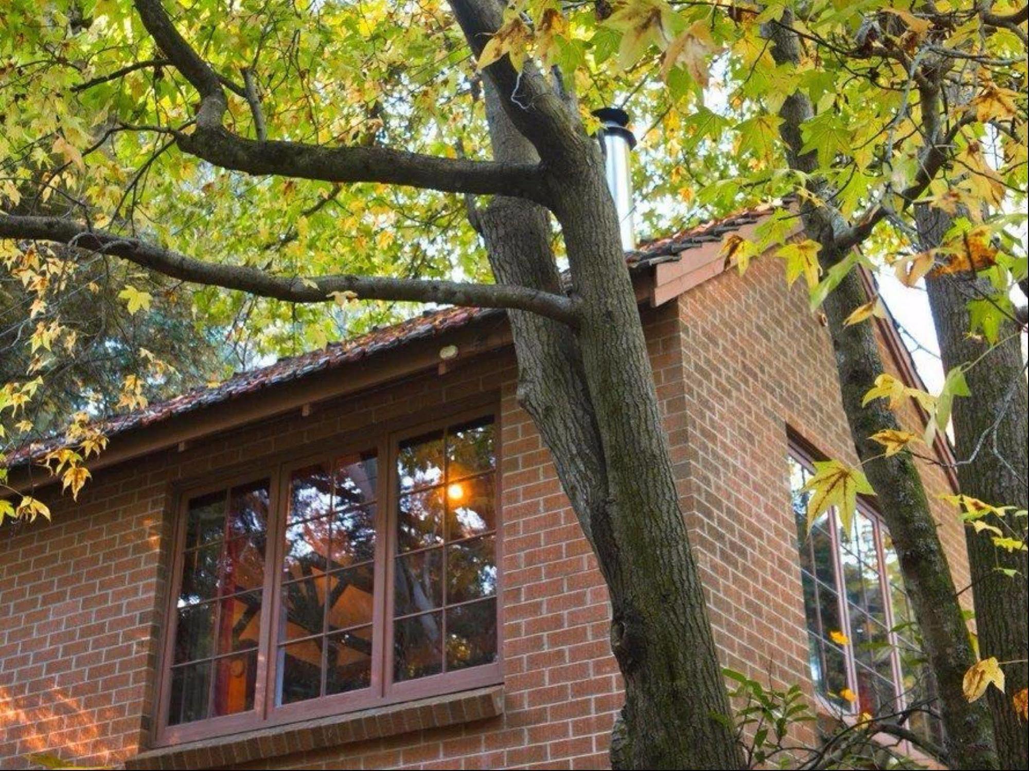 애들레이드 크래퍼스 코티지 B&B 외부 사진